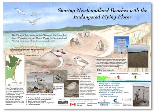 placemats -pipingplover800x575